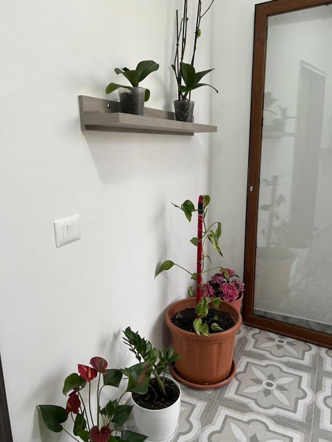 Villa Rreze Dielli Vlorë Екстериор снимка