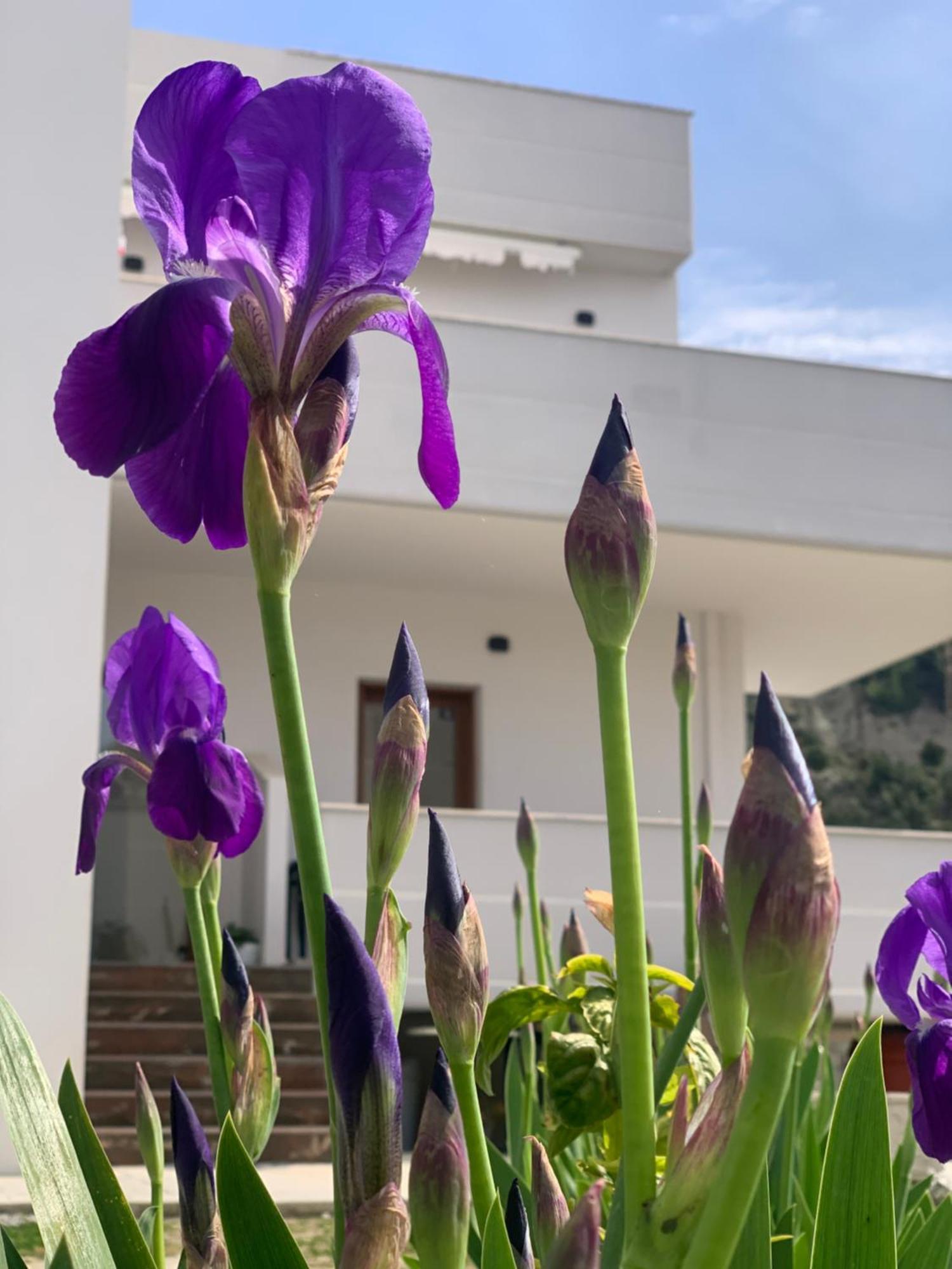 Villa Rreze Dielli Vlorë Екстериор снимка